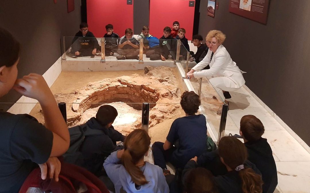 Primaria Sala 5